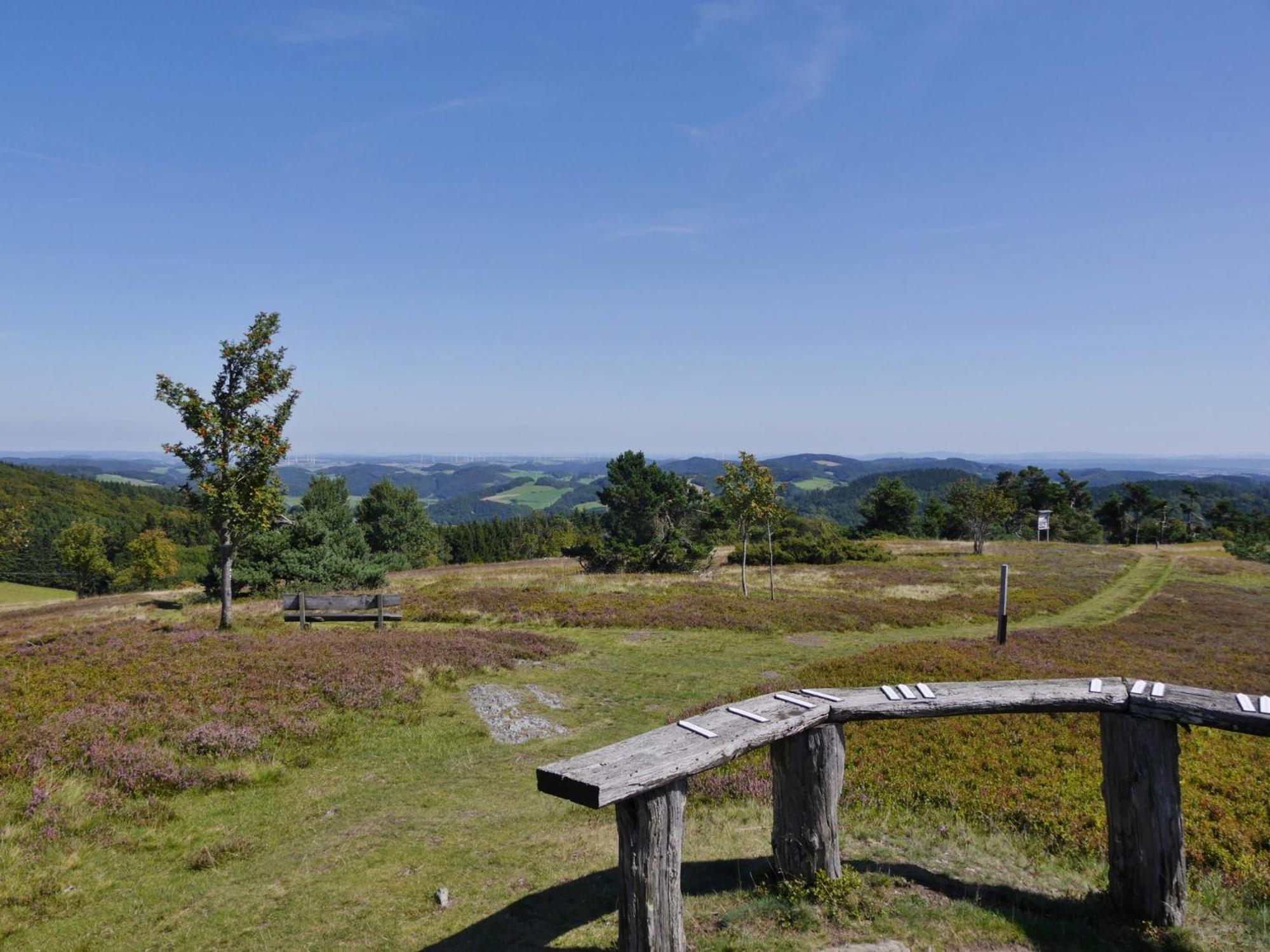Ferienhaus Diemelquelle - Mit Eingezaeuntem Garten Willingen  Luaran gambar