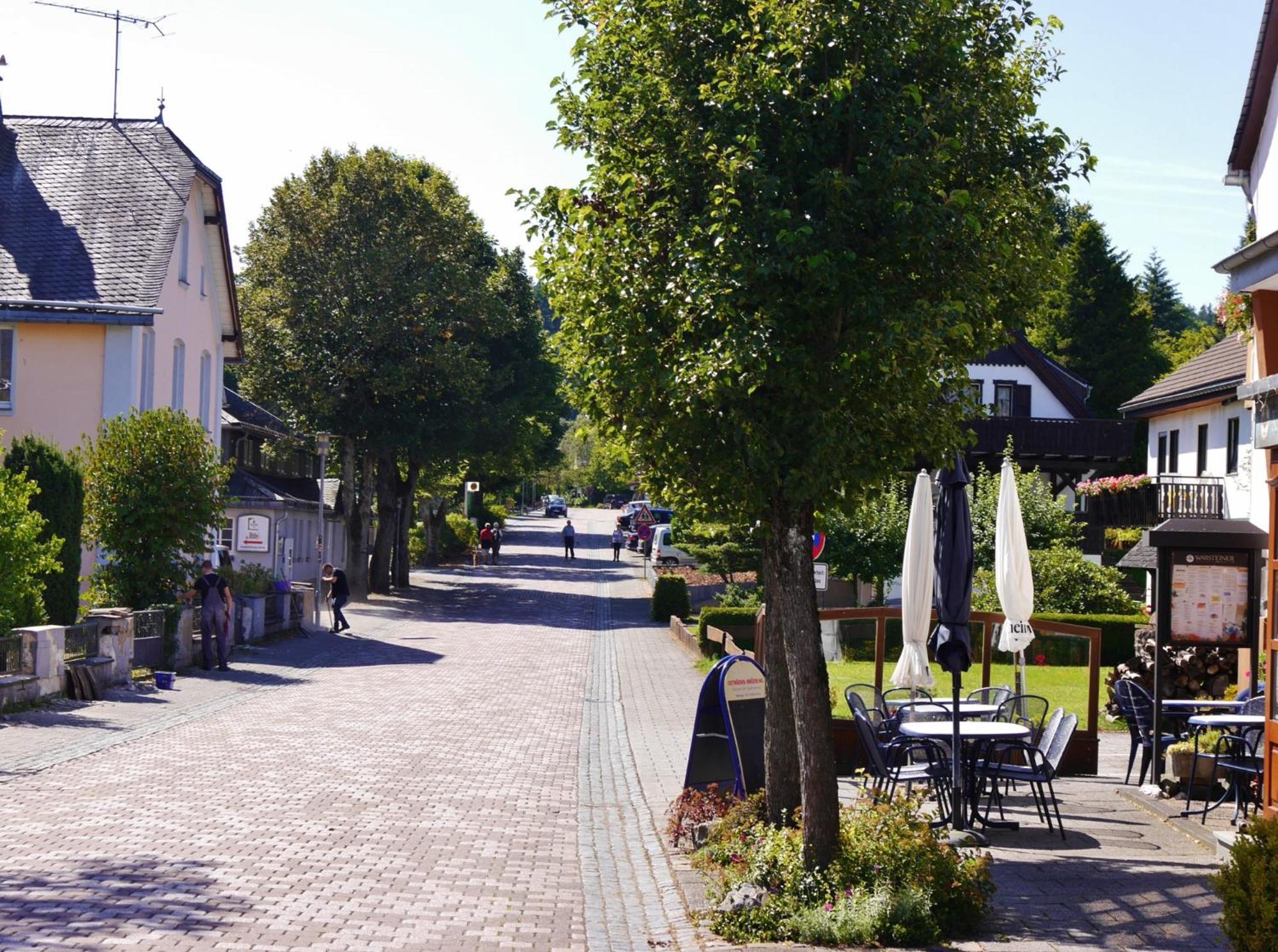 Ferienhaus Diemelquelle - Mit Eingezaeuntem Garten Willingen  Luaran gambar