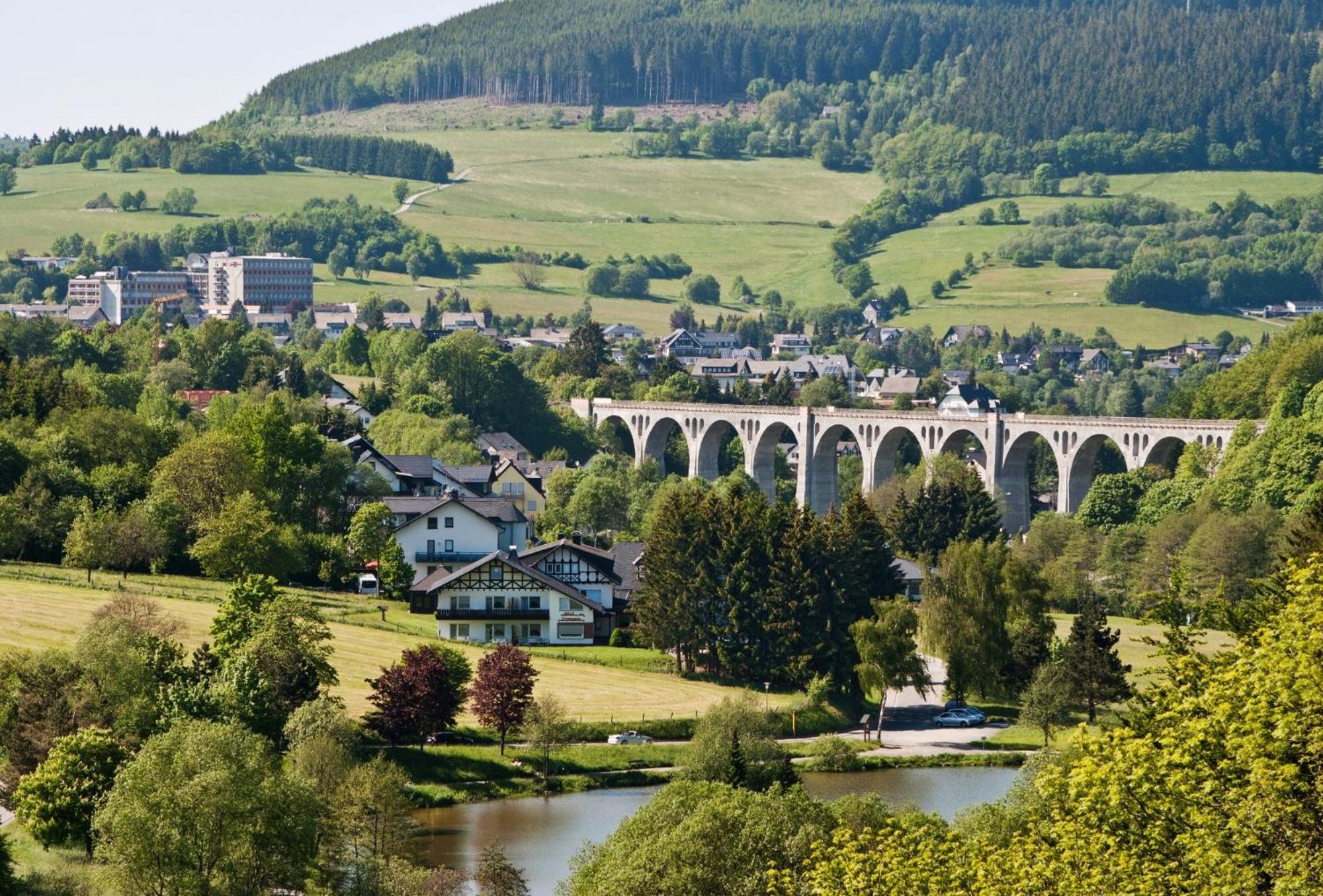 Ferienhaus Diemelquelle - Mit Eingezaeuntem Garten Willingen  Luaran gambar